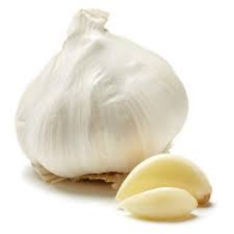 Garlic (Lehsun)